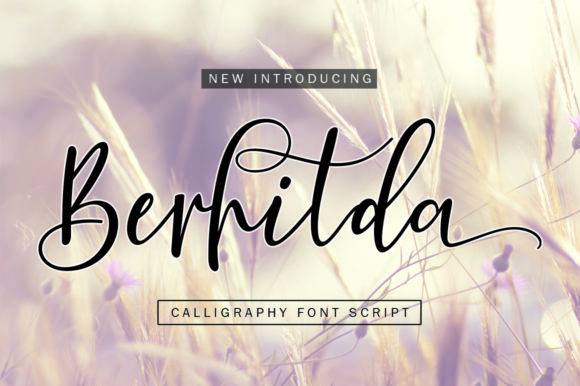 Berhilda: A Modern Calligraphy Font for Campaign Design