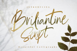 Briliantine Script Font for Fashionable Web Design