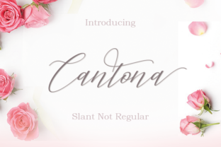 Cantona Font: Elevate Marketing Visuals with Elegant Calligraphy
