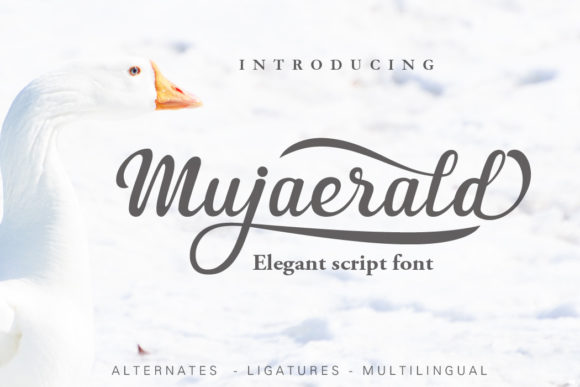 Mujaerald Script Font for Elegant Small Business Branding