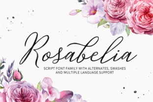 Rosabelia: A Modern Script Font for Elegant Typography